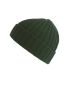 Green beanie Shore One Size