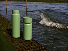 Zone Singles Termokopp/ Drikkeflaske  0,65liter 