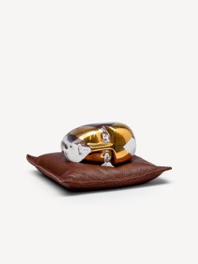 Annual Brains 2023, BV AC-23