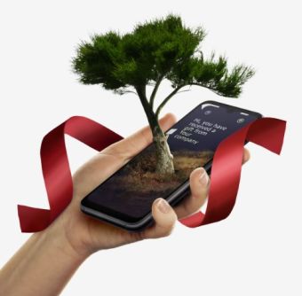 Treebytree - plant et tre