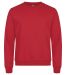 Miami Roundneck i trendfarger Red