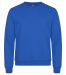 Miami Roundneck i trendfarger Royal Blue