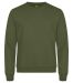 Miami Roundneck i trendfarger Army Green