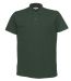 Parkes Dark Green