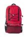 Sliver Line Backpack Red