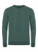 Oakville Crewneck Men pine green