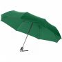 Alex 21.5" sammenleggbar automatisk åpne/lukke paraply Grønn