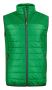 Expedition Vest Fresh Green